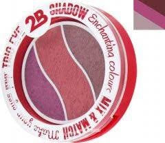 2b Trio Eye Shadow Mix & Match Light/Medium/Dark/Pink - Oogschaduw 2,4g